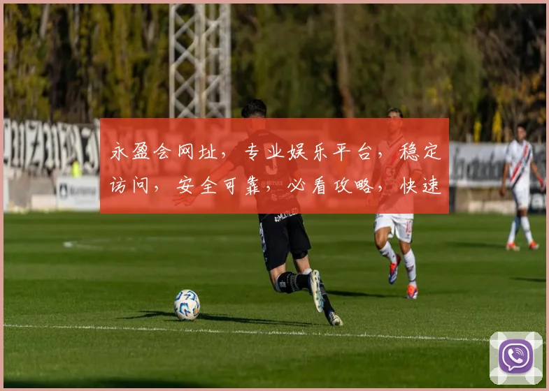 永盈会网址，专业娱乐平台，稳定访问，安全可靠，必看攻略，快速登录，体验非凡