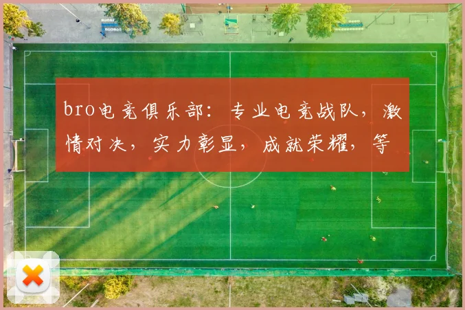 bro电竞俱乐部：专业电竞战队，激情对决，实力彰显，成就荣耀，等你来战