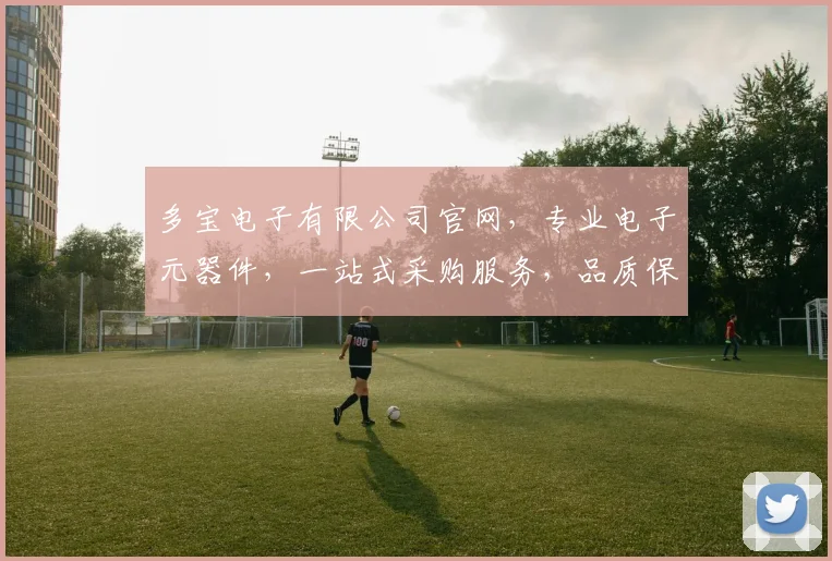 多宝电子有限公司官网，专业电子元器件，一站式采购服务，品质保证，价格优惠，三重优势，值得信赖