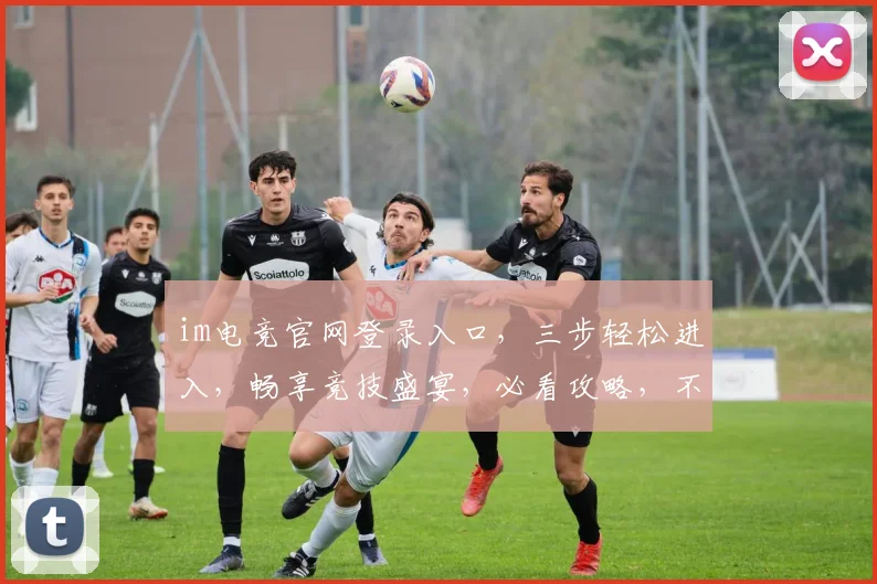 im电竞官网登录入口，三步轻松进入，畅享竞技盛宴，必看攻略，不容错过